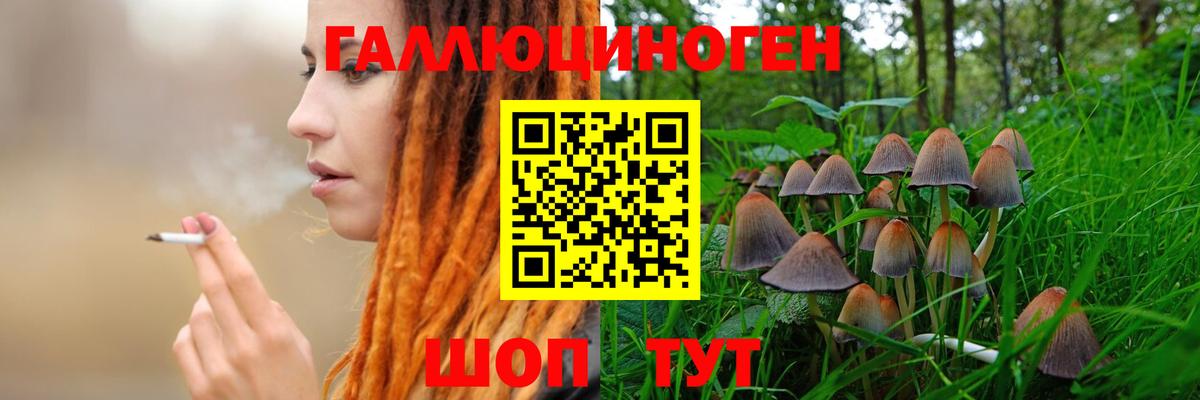 Галлюциногенные грибы ЛСД  Псилоцибиновые грибы GOLDEN TEACHER  Вход с VPN  Новосибирск 